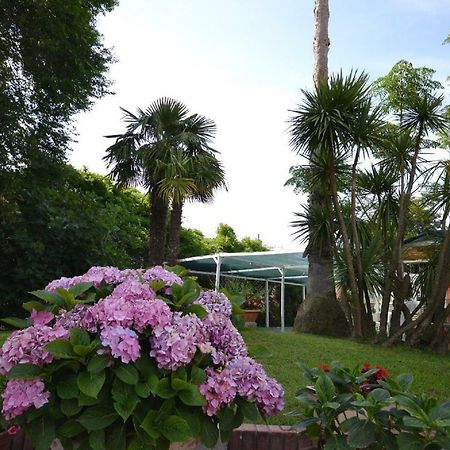 Borgo Montenero Il Piccolo Nido Bed & Breakfast エクステリア 写真