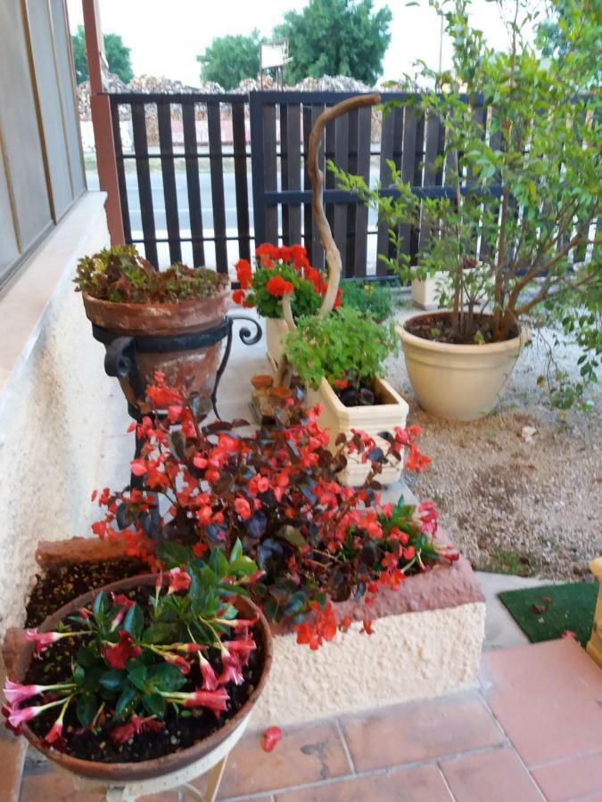Borgo Montenero Il Piccolo Nido Bed & Breakfast エクステリア 写真